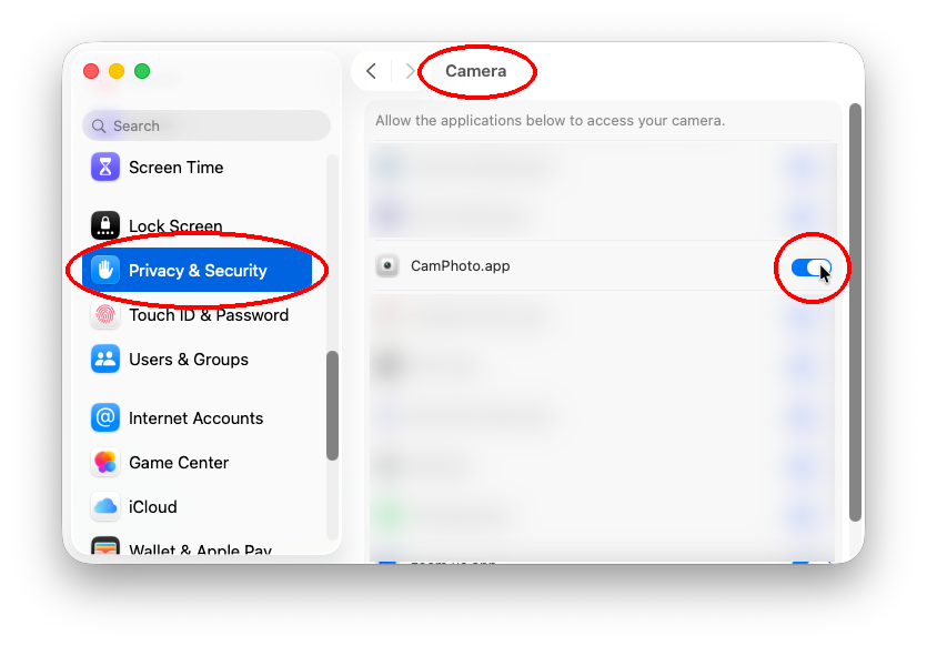 Privacy & Security Camera settings