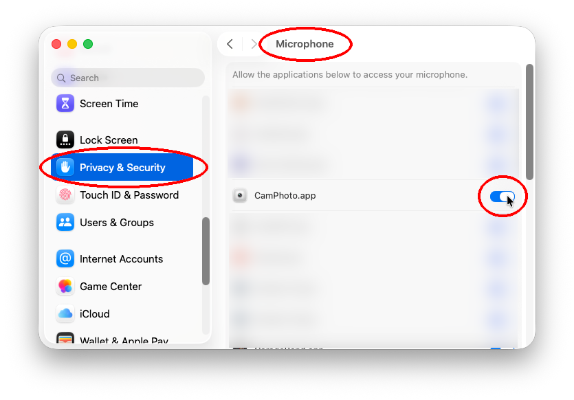 Privacy & Security Microphone settings